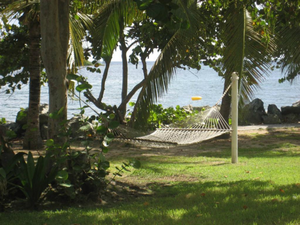 Tamarind Reef Resort Spa & Marina Christiansted Exteriör bild