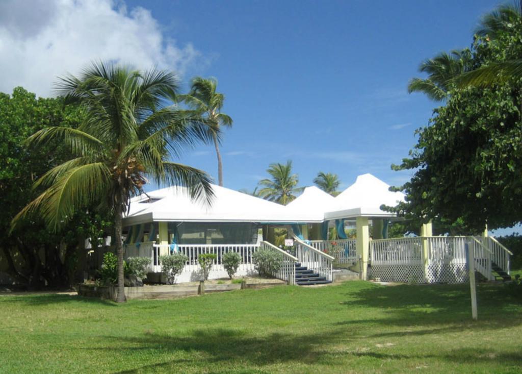 Tamarind Reef Resort Spa & Marina Christiansted Exteriör bild