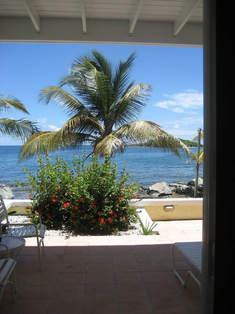 Tamarind Reef Resort Spa & Marina Christiansted Exteriör bild