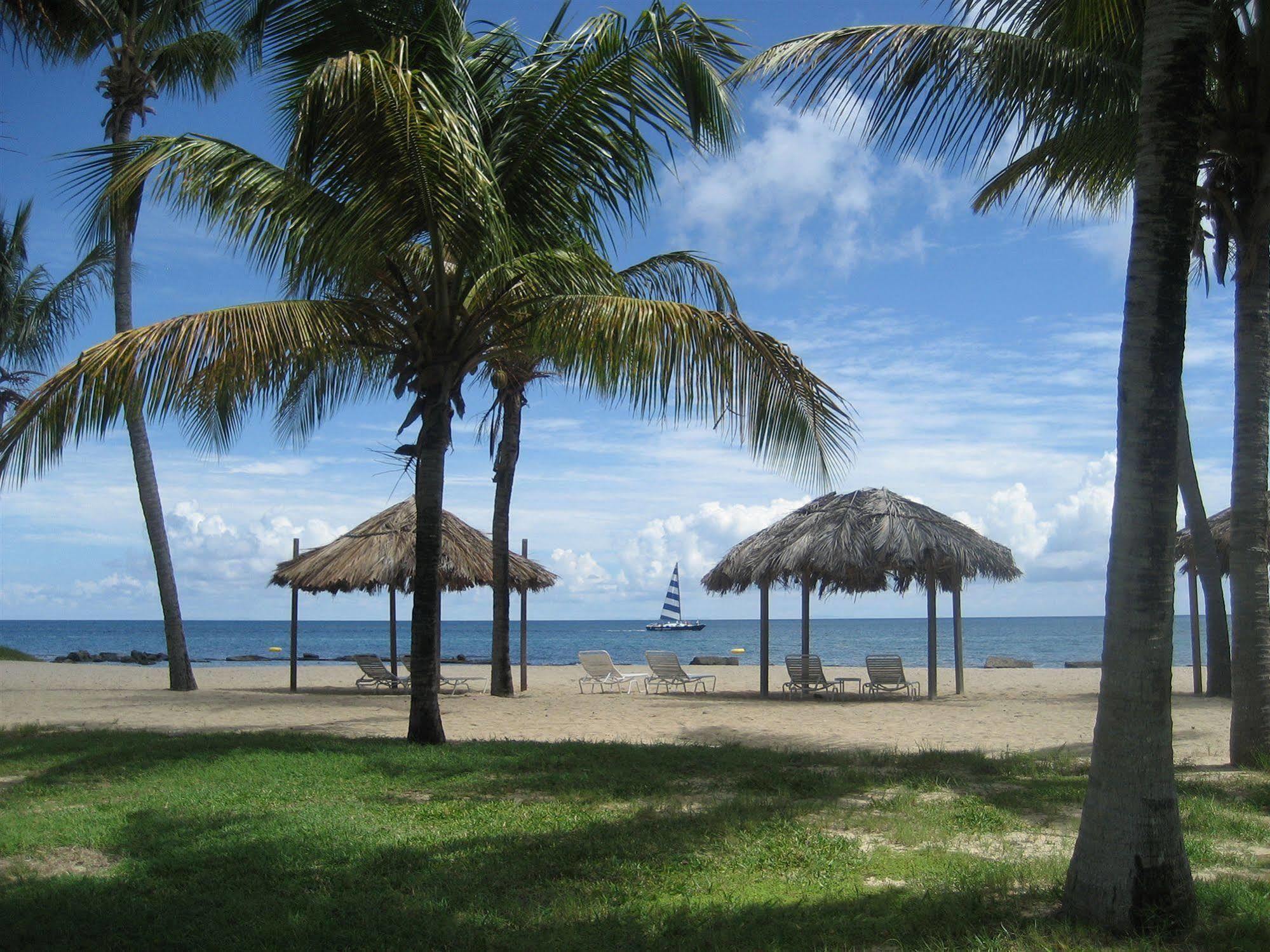Tamarind Reef Resort Spa & Marina Christiansted Exteriör bild