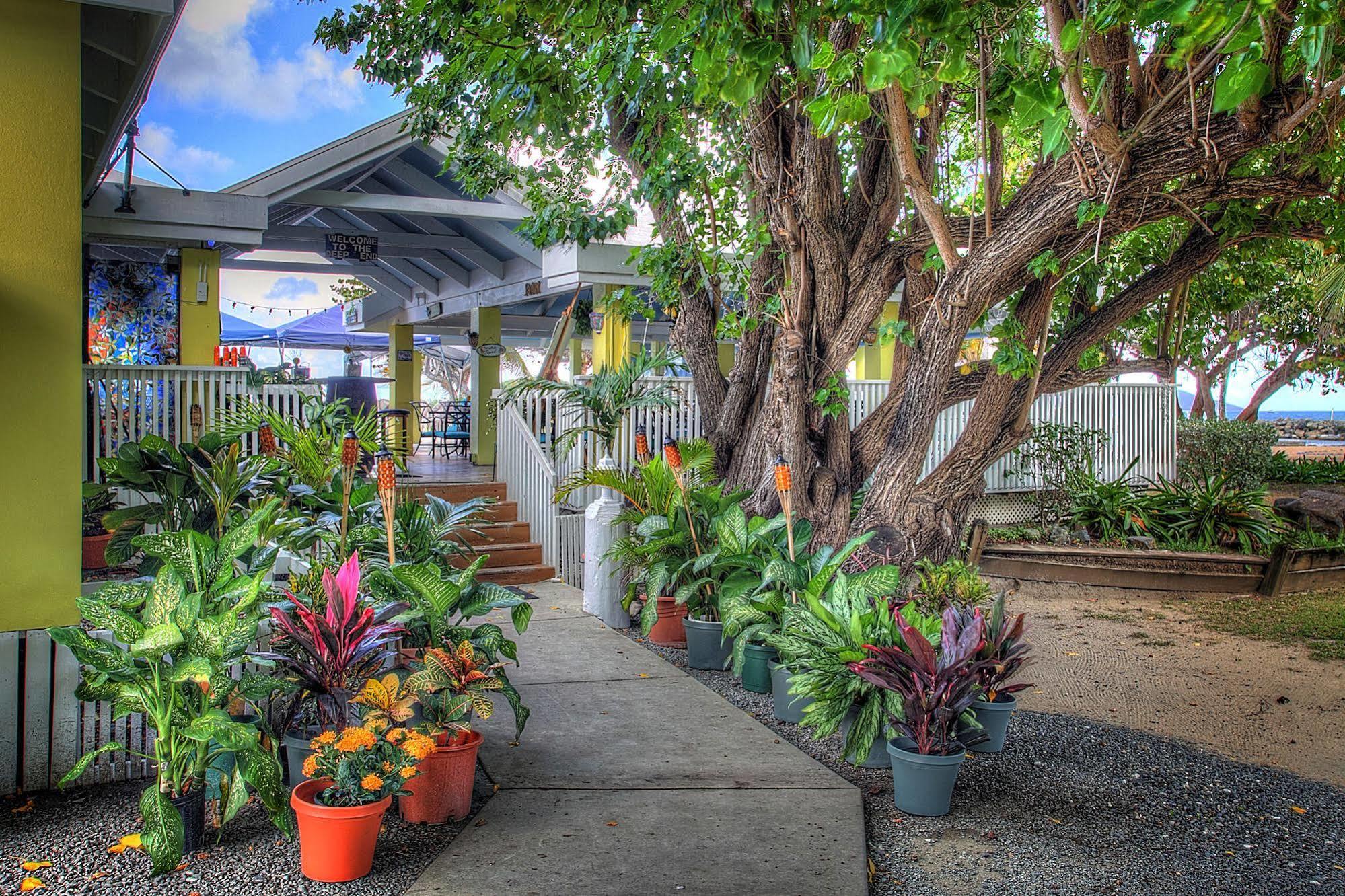 Tamarind Reef Resort Spa & Marina Christiansted Exteriör bild